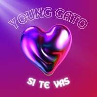 Si Te Vas